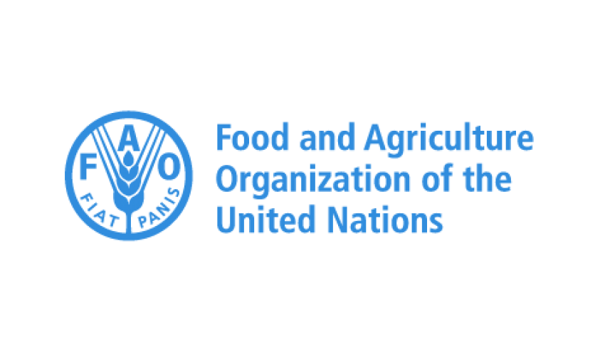 FAO recrute un national operations Officer