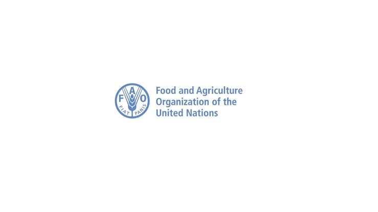FAO recrute un coordinateur National du Projet
