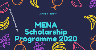 Appel à candidatures: Bourses Mena Scholarship Programme des Pays Bas
