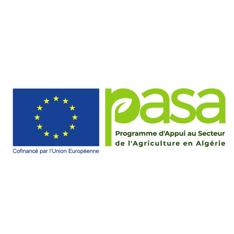 PASA – Pôle Soummam lance un appel à projets dédié aux initiatives économiques et innovantes